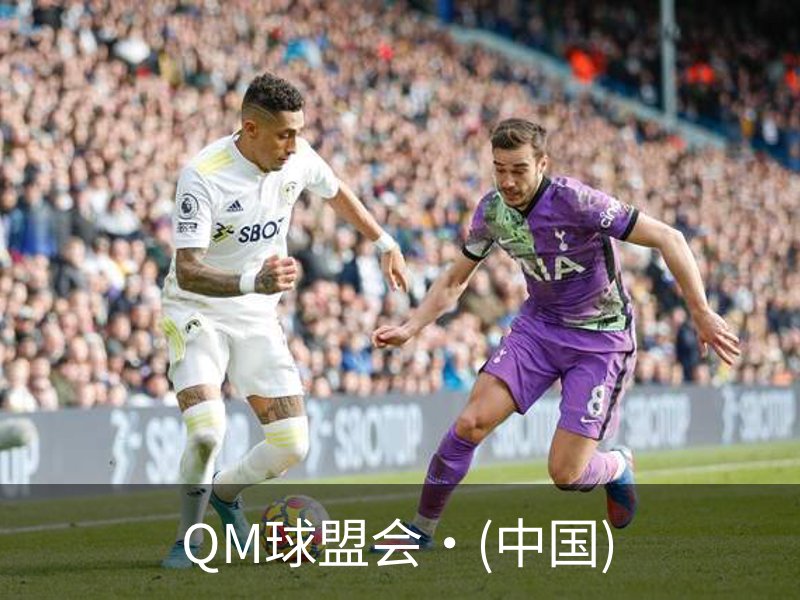 QM球盟会·(中国)介绍
